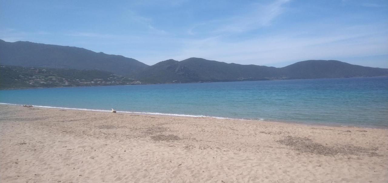 Maison De 4 Chambres De Front De Mer Corse-Du-Sud Appietto Exteriér fotografie